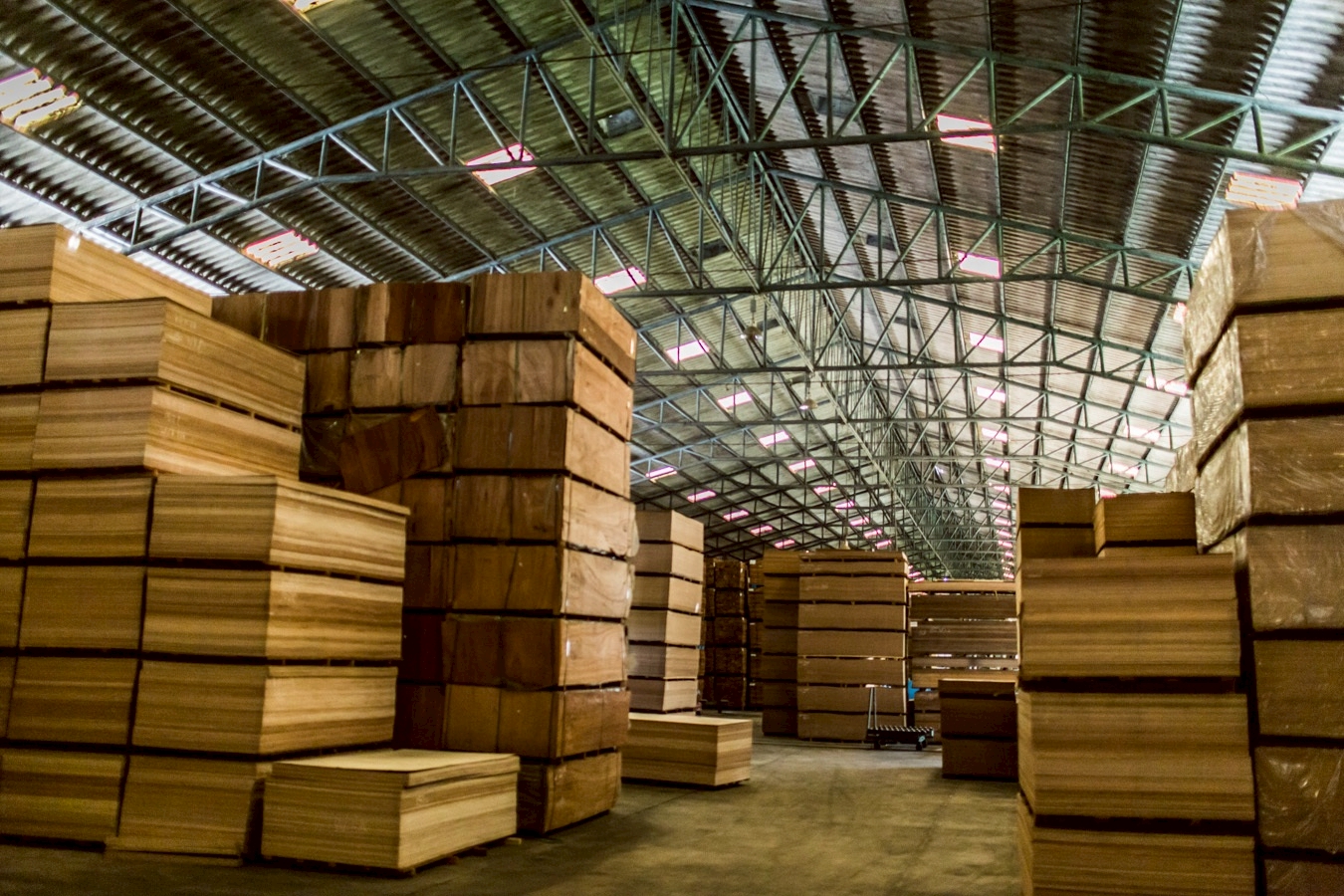 LINE_ALBUM_รูปภาพบริษัท2_250910_239