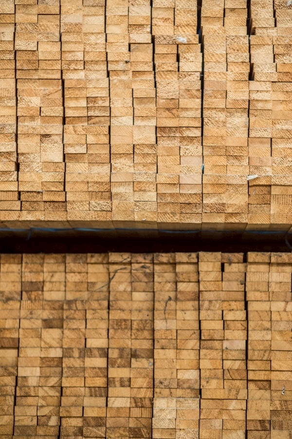 LINE_ALBUM_รูปภาพบริษัท2_250910_273